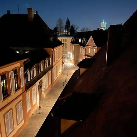 Le Petit Linck - Typique Au Coeur De Colmar