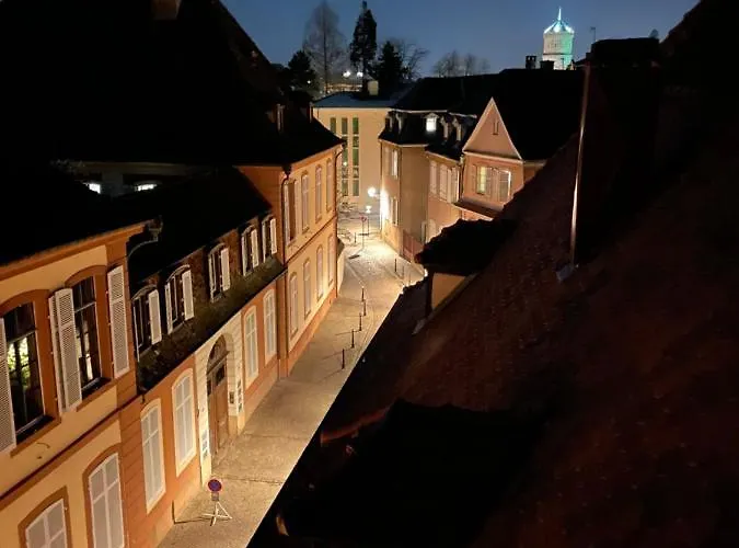 Le Petit Linck - Typique Au Coeur De Colmar