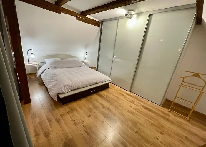 Le Petit Linck - Typique Au Coeur De * Colmar