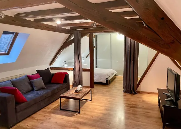 Le Petit Linck - Typique Au Coeur De * Colmar